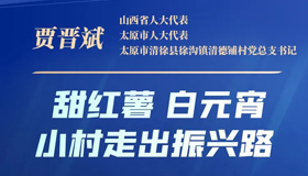 【海報(bào)】看人大代表如何建言獻(xiàn)策，點(diǎn)亮發(fā)展之路！